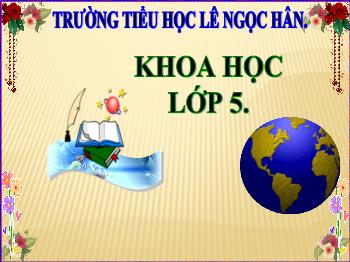 Bài giảng Địa lý Lớp 5 - Bài: Địa hình và khoáng sản