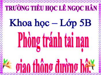 Bài giảng Khoa học 5 - Bài 19: Phòng tránh tai nạn giao thông đường bộ