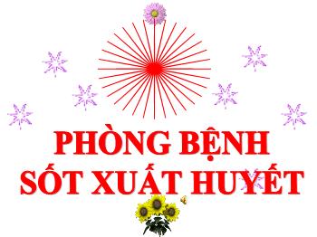 Bài giảng Khoa học Lớp 5 - Bài 13: Phòng bệnh sốt xuất huyết