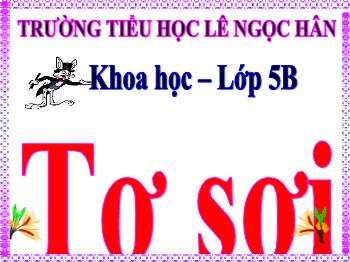 Bài giảng Khoa học Lớp 5 - Bài 32: Tơ sợi