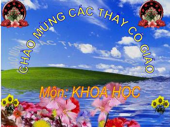 Bài giảng Khoa học Lớp 5 - Bài: Năng lượng mặt trời