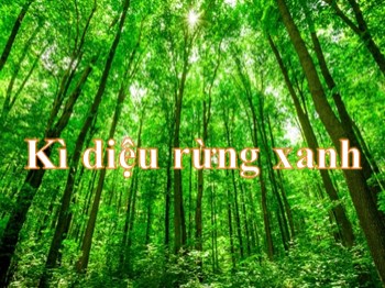 Bài giảng Tập đọc Lớp 5 - Tuần 8 - Bài: Kì diệu rừng xanh