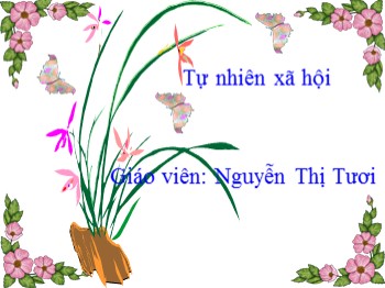 Bài giảng Tự nhiên xã hội Lớp 3 - Bài: Bệnh lao phổi - Nguyễn Thị Tươi