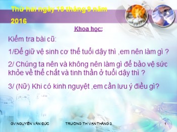 Bài giảng Khoa học Khối 5 - Thực hành :Nói “Không!” đối với các chất gây nghiện