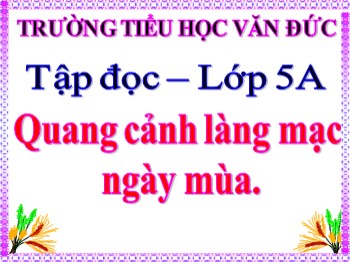 Bài giảng Tập đọc 5 - Tuần 1 - Bài: Quang cảnh làng mạc ngày mùa