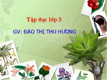 Bài giảng Tập đọc Lớp 3 - Bài: Một mái nhà chung - Đào Thị Thu Hương
