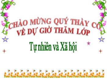 Bài giảng Tự nhiên và xã hội Lớp 2 - Bài 16: Các thành viên trong nhà trường