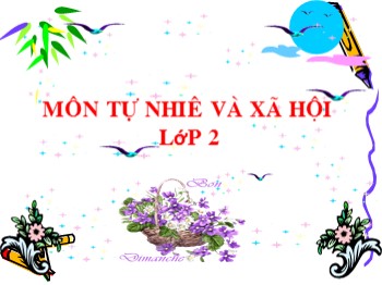 Bài giảng Tự nhiên và xã hội Lớp 2 - Bài 29: Một số loài vật sống dưới nước