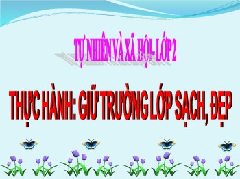 Bài giảng Tự nhiên và xã hội Lớp 2 - Thực hành: Giữ trường lớp sạch, đẹp