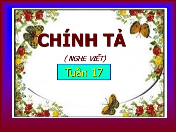 Bài giảng môn Tiếng Việt Lớp 5 - Tuần 17: Người mẹ của 51 đứa con