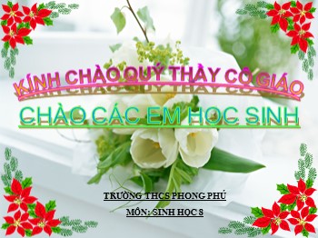 Bài giảng Sinh học Lớp 8 - Bài 42: Vệ sinh da - Trường THCS Phong Phú