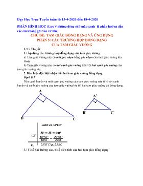 Bài giảng Toán Lớp 8 - Phần 5: Các trường hợp đồng dạng của tam giác vuông