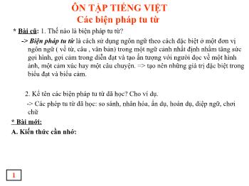 Bài giảng Ngữ Văn Lớp 9 - Ôn tập Tiếng Việt: Các biện pháp tu từ