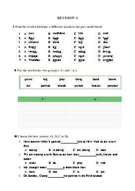 Bài tập ôn tập môn Tiếng Anh Lớp 6 - Số 6