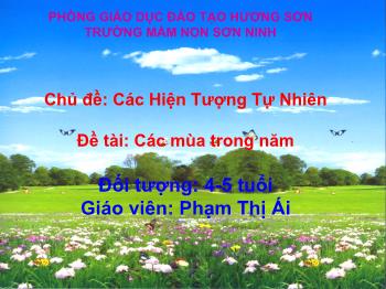 Bài giảng Mầm non Lớp Chồi - Chủ đề: Các hiện tượng tự nhiên. Đề tài: Các mùa trong năm - Phạm Thị Ái