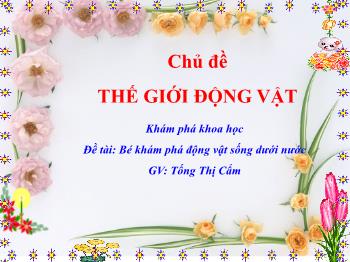 Bài giảng Mầm non Lớp Chồi - Chủ đề: Thế giới động vật. Đề tài: Bé khám phá động vật sống dưới nước - Tống Thị Cẩm