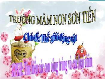 Bài giảng Mầm non Lớp Chồi - Chủ đề: Thế giới động vật. Đề tài: Tìm hiểu các con công trùng và các loại chim - Phan Thị Hoa Thơm