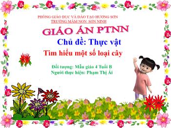 Bài giảng Mầm non Lớp Chồi - Chủ đề: Thực vật. Đề tài: Tìm hiểu một số loại cây - Phạm Thị Ái