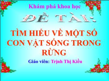 Bài giảng Mầm non Lớp Chồi - Đề tài: Tìm hiểu về một số con vật sống trong rừng - Trịnh Thị Kiều