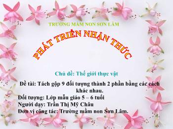 Bài giảng Mầm non Lớp Lá - Chủ đề: Thế giới thực vật. Đề tài: Tách gộp 9 đối tượng thành 2 phần bằng các cách khác nhau - Trần Thị Mỹ Châu