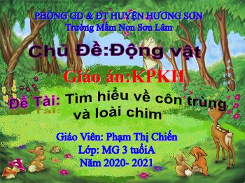 Bài giảng Mầm non Lớp Mầm - Chủ Đề: Động vật. Đề tài: Tìm hiểu về côn trùng và loài chim - Năm học 2020-2021 - Phạm Thị Chiến