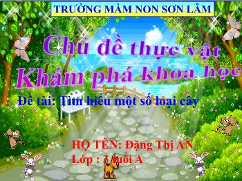 Bài giảng Mầm non Lớp Mầm - Chủ đề: Thực vật. Đề tài: Tìm hiểu một số loại cây - Đặng Thị An