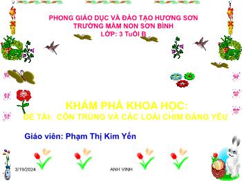 Bài giảng Mầm non Lớp Mầm - Đề tài: Côn trùng và các loài chim đáng yêu - Phạm Thị Kim Yến