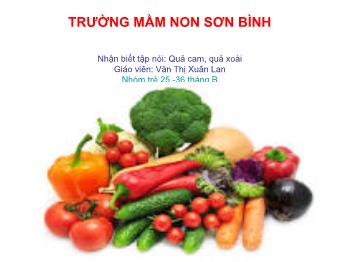 Bài giảng Mầm non Lớp Nhà trẻ - Nhận biết tập nói: Quả cam, quả xoài - Văn Thị Xuân Lan