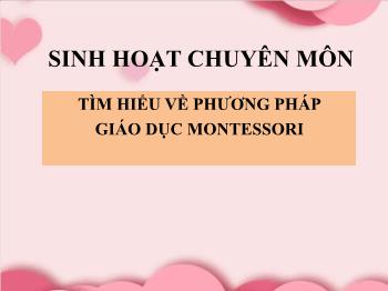 Bài giảng Tìm hiểu về phương pháp giáo dục Montessori