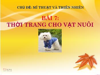 Bài giảng Mĩ thuật Lớp 6 - Chủ đề: Mĩ thuật và thiên nhiên - Bài 7: Thời trang cho vật nuôi