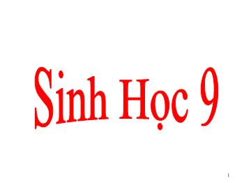 Bài giảng môn Sinh học Lớp 9 - Bài 43: Ảnh hưởng của nhiệt độ và độ ẩm lên đời sống sinh vật
