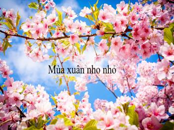 Bài giảng Ngữ văn Lớp 7 - Văn bản: Mùa xuân nho nhỏ