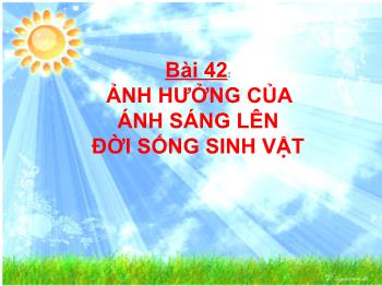Bài giảng Sinh học Khối 9 - Bài 42: Ảnh hưởng của ánh sáng lên đời sống sinh vật