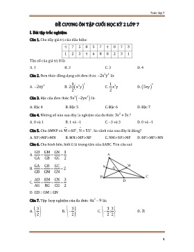 Đề cương ôn tập cuối học kì 2 Toán Lớp 7
