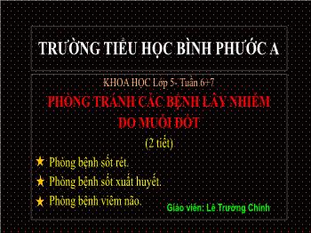 Bài giảng Khoa học Lớp 5 - Tuần 6+7, Bài: Phòng tránh các bệnh lây nhiễm do muỗi đốt - Lê Trường Chinh