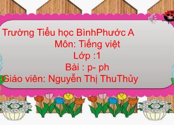 Bài giảng Tiếng Việt Lớp 1 (Cánh diều) - Bài : P – ph - Năm học 2023-2024 - Nguyễn Thị Thu Thủy