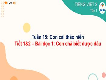 Bài giảng Tiếng Việt Lớp 2 (Cánh diều) - Tuần 15: Con cái thảo hiền - Tiết 1+2, Bài đọc 1: Con chả biết được đâu