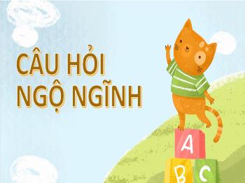 Bài giảng Tiếng Việt Lớp 3 - Ôn tập giữa học kì I (Tiết 2)