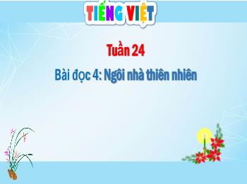 Bài giảng Tiếng Việt Lớp 5 (Cánh diều) - Tuần 24, Bài đọc 4: Ngôi nhà thiên nhiên