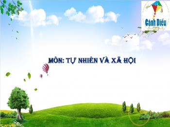 Bài giảng Tự nhiên và Xã hội Lớp 1 (Cánh diều) - Bài 12: Chăm sóc, bảo vệ cây trồng và vật nuôi - Đinh Thị Thúy Hiền