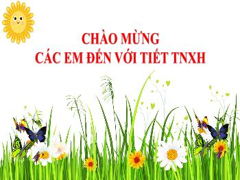 Bài giảng Tự nhiên và Xã hội Lớp 2 - Bài 3: Phòng, tránh ngộ độc khi ở nhà (Tiết 2) - Năm học 2023-2024