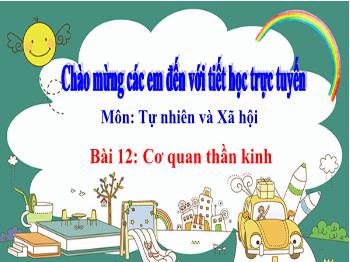 Bài giảng Tự nhiên và Xã hội Lớp 3 - Bài 12: Cơ quan thần kinh - Năm học 2021-2022 - Trường Tiểu học Chánh An A