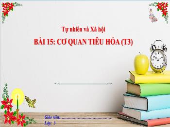 Bài giảng Tự nhiên và Xã hội Lớp 3 - Bài 15: Cơ quan tiêu hóa (Tiết 3)