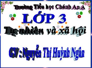 Bài giảng Tự nhiên và Xã hội Lớp 3 - Bài 3: Hoạt động tuần hoàn - Nguyễn Thị Huỳnh Ngân