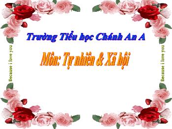 Bài giảng Tự nhiên và Xã hội Lớp 3 - Bài: Bệnh lao phổi - Năm học 2021-2022 - Trường Tiểu học Chánh An A