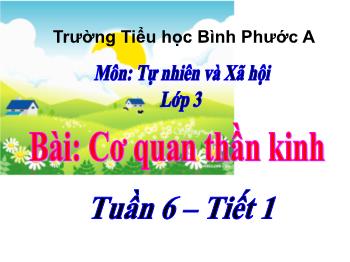 Bài giảng Tự nhiên và Xã hội Lớp 3 - Tuần 6, Bài: Cơ quan thần kinh - Năm học 2021-2022 - Trường Tiểu học Bình Phước A