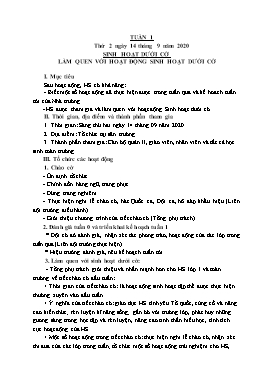 Giáo án Sinh hoạt dưới cờ Lớp 1 - Tuần 1, 2, 3 - Năm học 2020-2021 - Nguyễn Thị Minh Ngọc