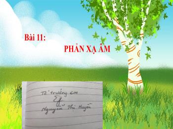 Bài giảng Khoa học tự nhiên 7 - Bài 11: Phản xạ âm