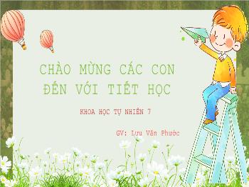 Bài giảng Khoa học tự nhiên 7 - Chủ đề 4: Tốc độ - Bài 7: Tốc độ của chuyển động - Lưu Văn Phước
