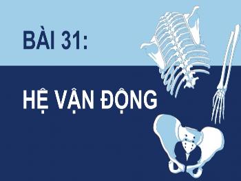 Bài giảng Khoa học tự nhiên 8 - Bài 31: Hệ vận động